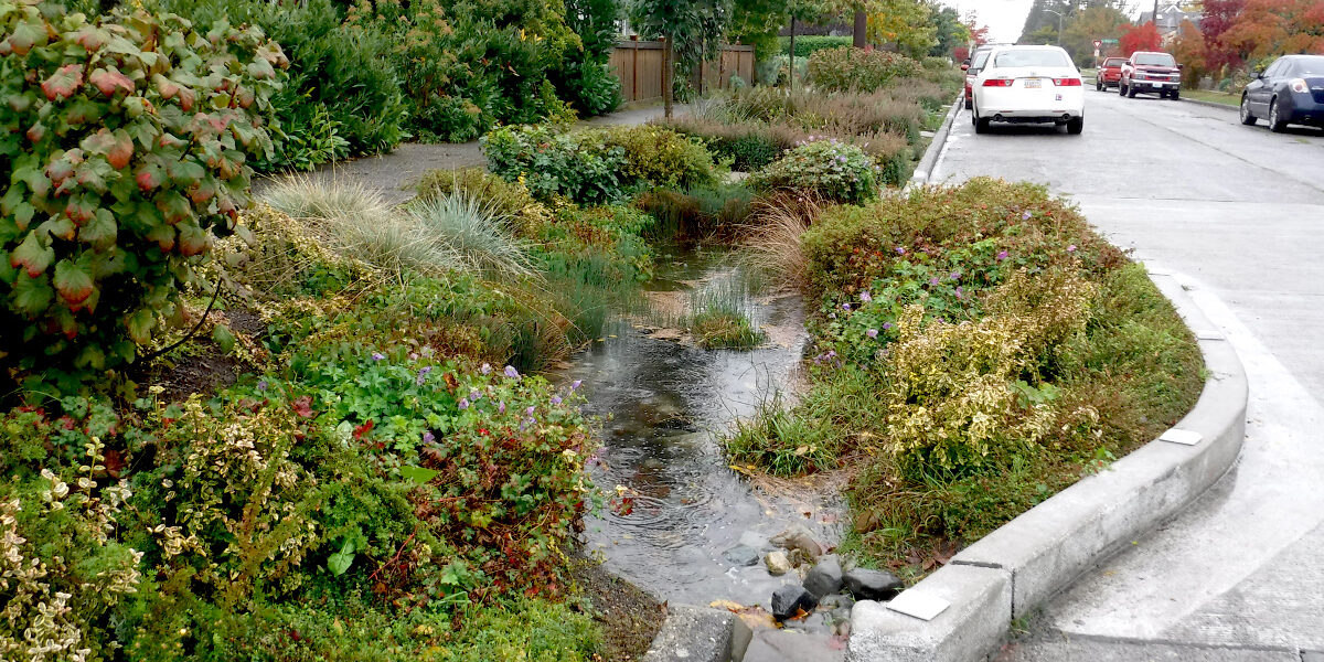 Green stormwater infrastructure