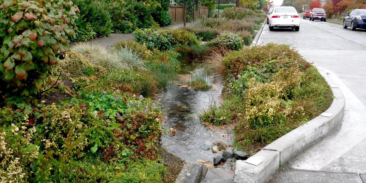 Barton Basin Stormwater Solutions