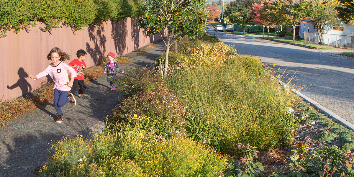 Barton Basin Stormwater Solutions