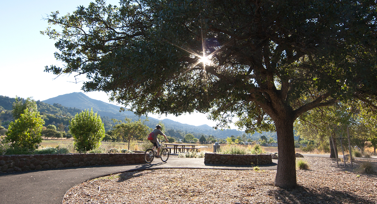 Hal Brown Park at Creekside