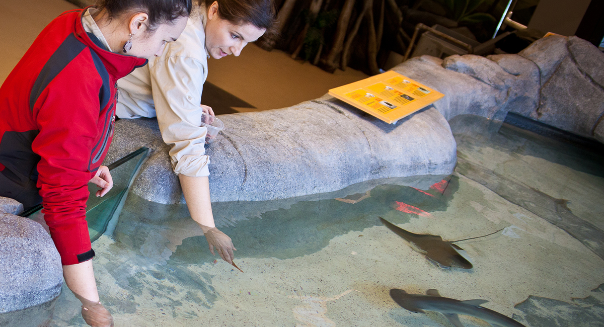 Aquarium du Québec