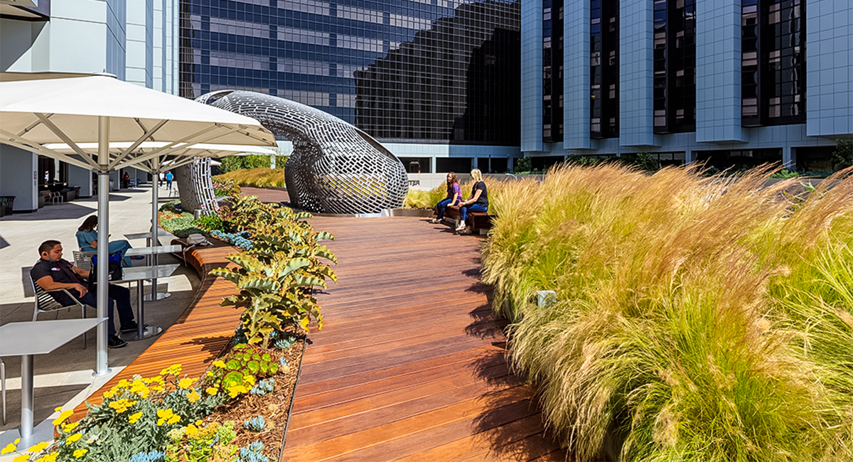 Cedars Sinai Plaza