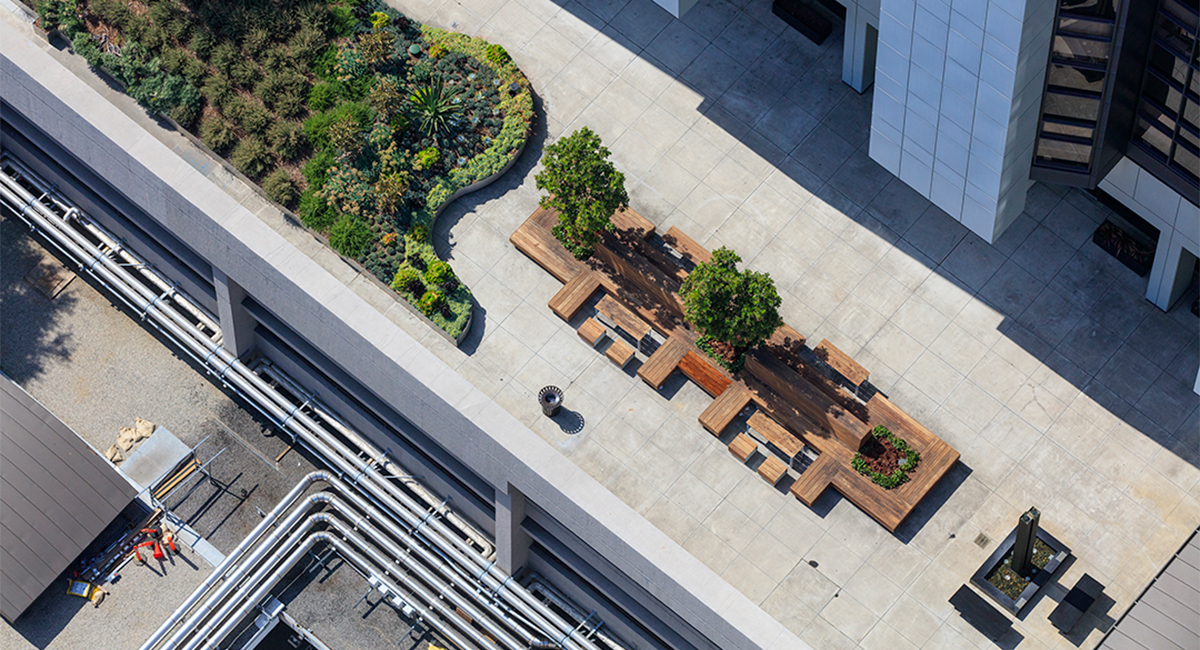 Cedars Sinai Plaza