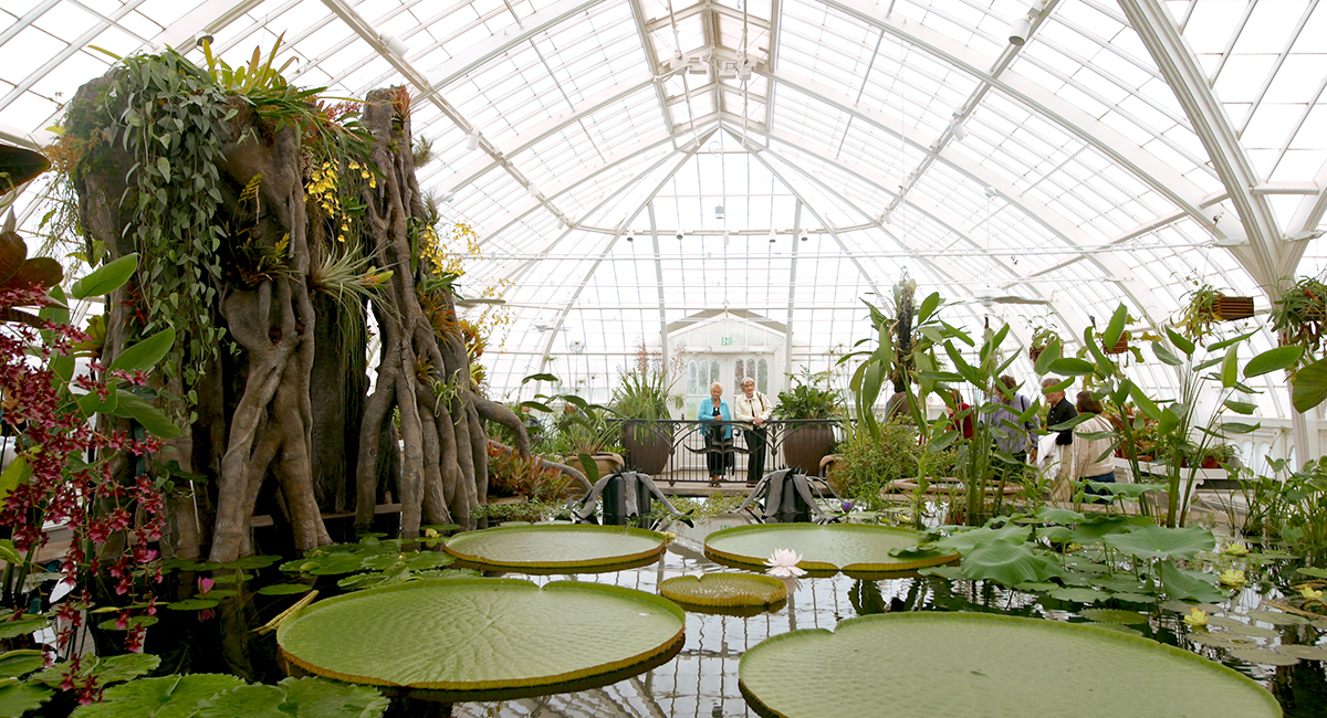 San Francisco Conservatory of Flowers