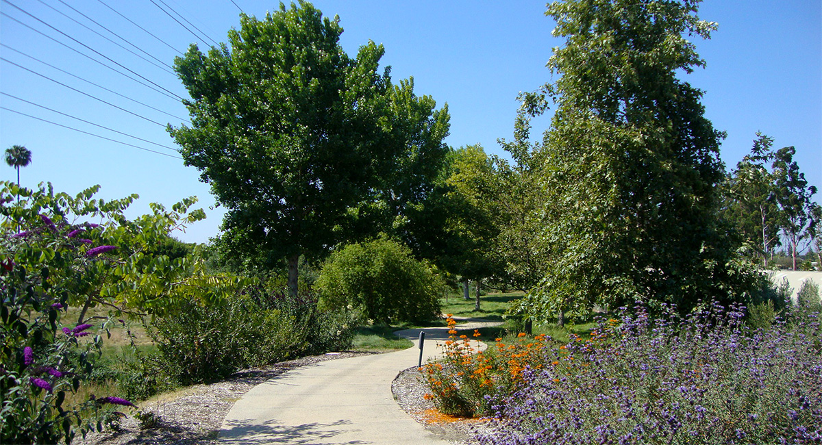 San Gabriel River