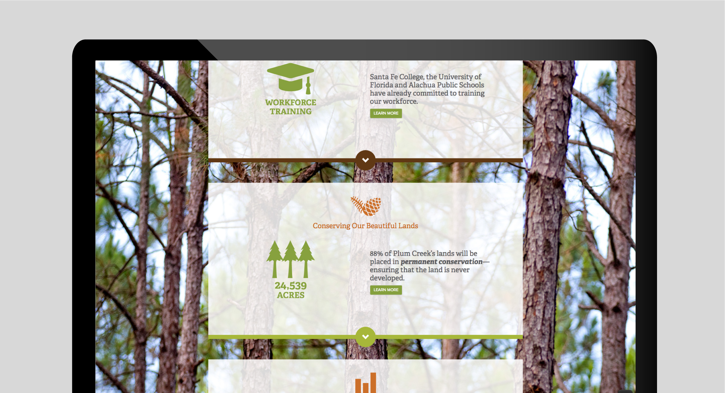 Envision Alachua Website