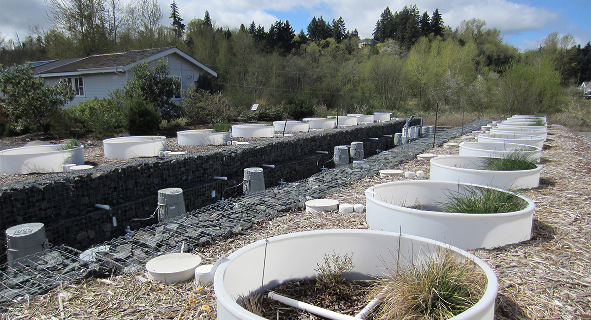 Washington Stormwater Center