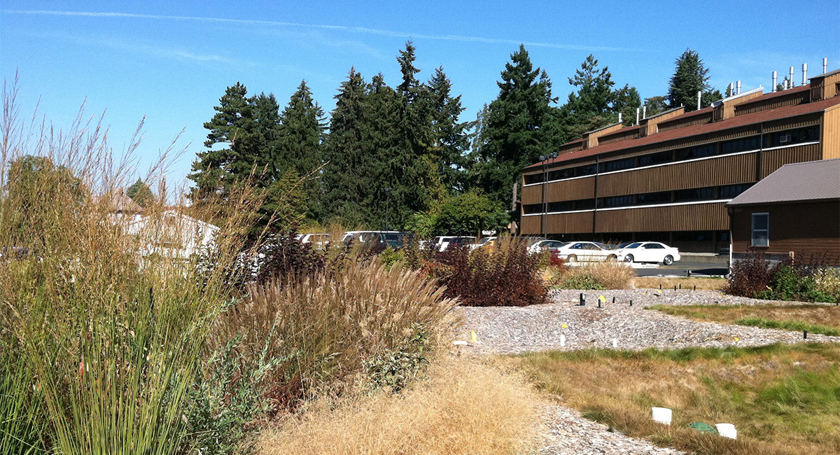 Washington Stormwater Center