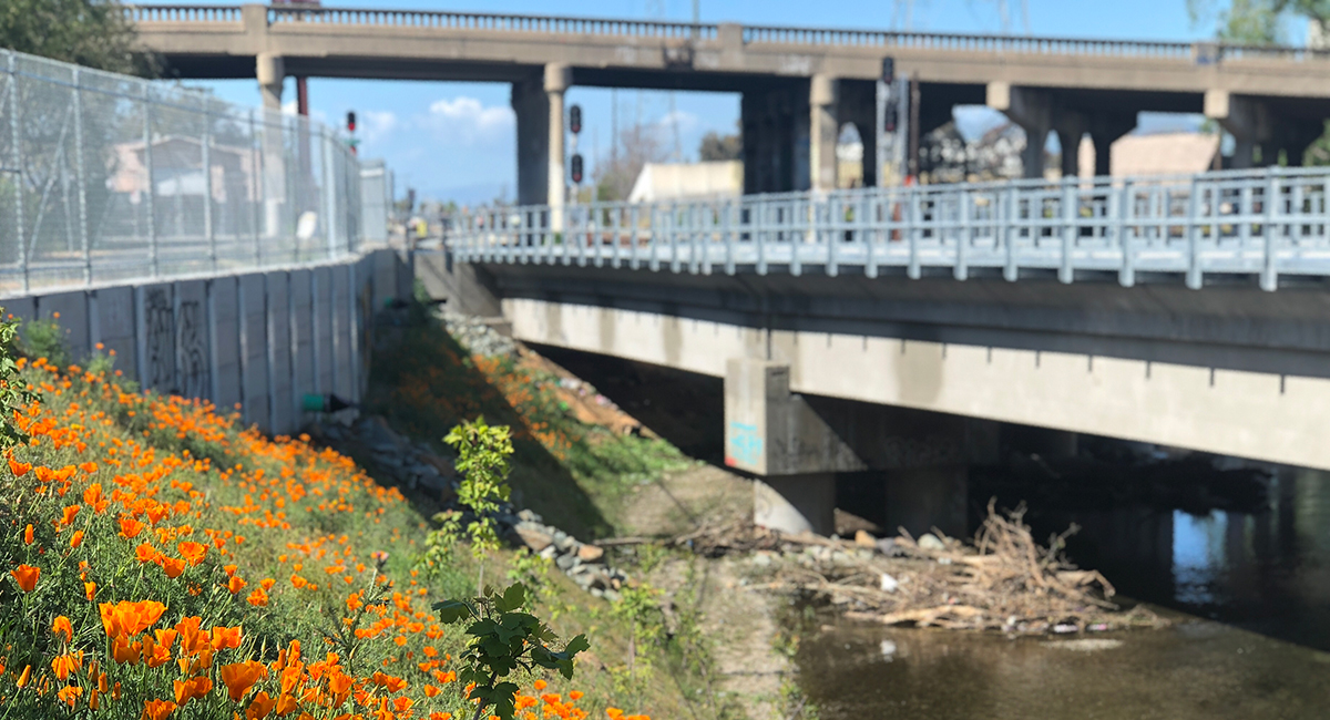 Caltrans Bridge Replacement Restoration