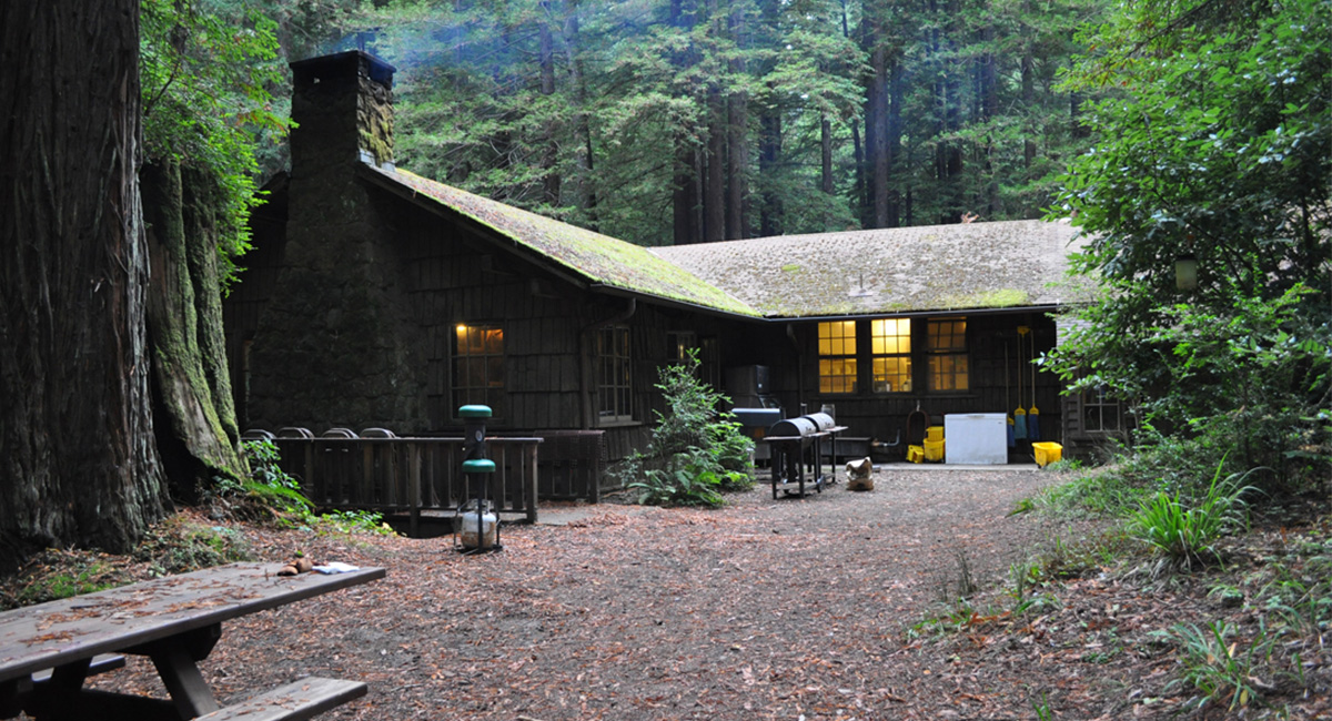 Mendocino Woodlands