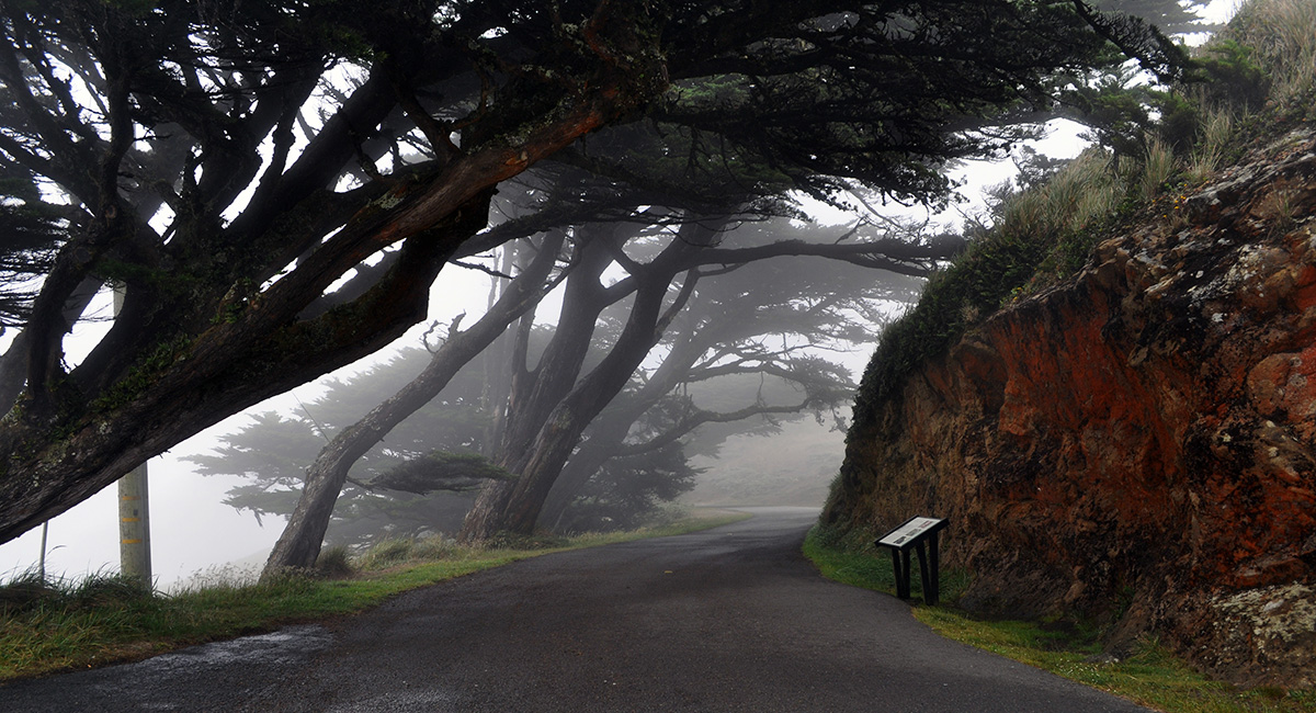 Point Reyes Light Station