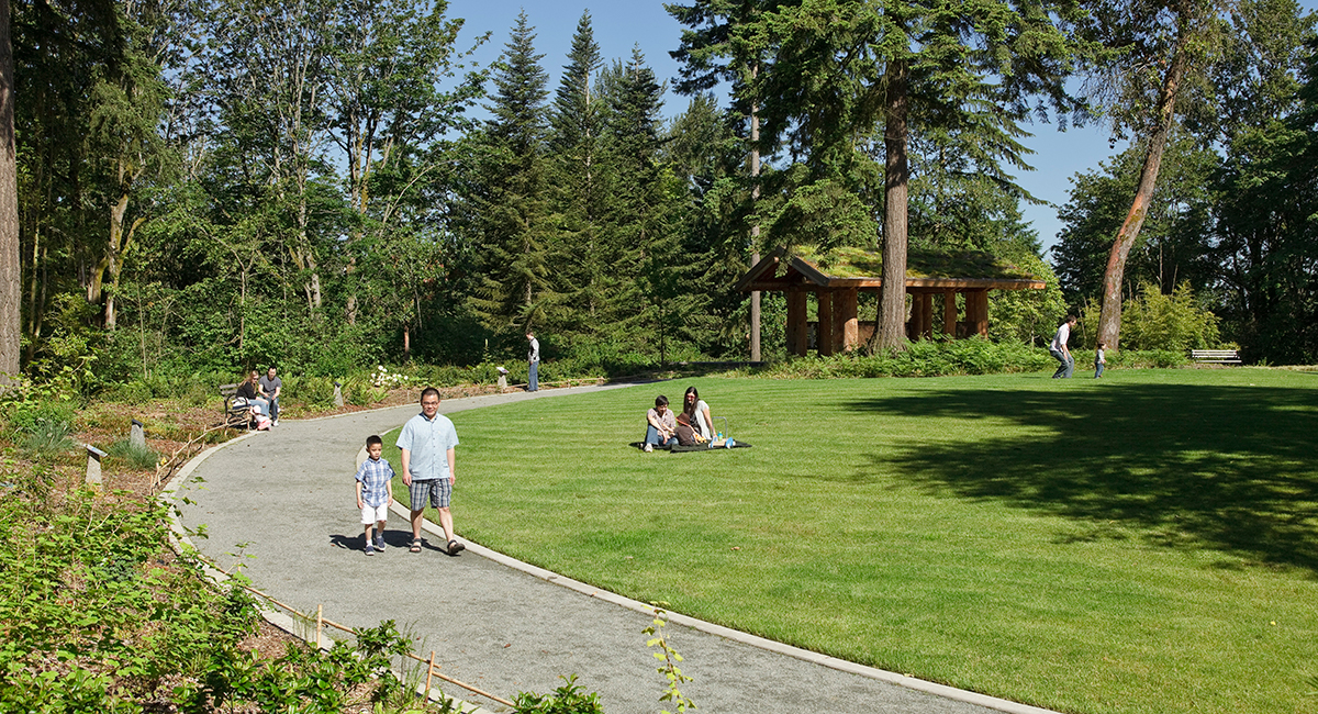 Washington Park Arboretum Pacific Connections Garden