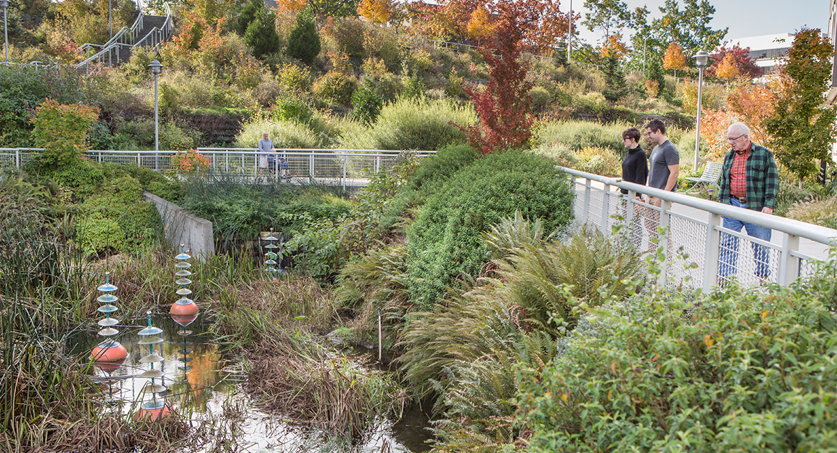 Thornton Creek Water Quality Channel