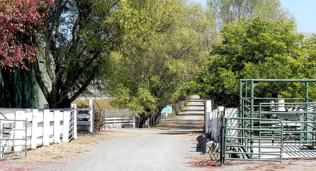 Tolay Lake Regional Park