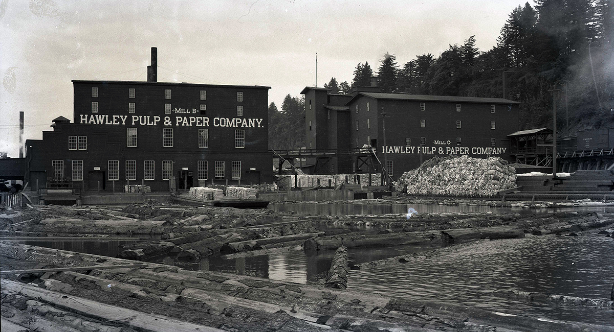 Willamette Falls 1918