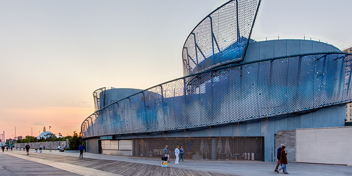 New York aquarium shark exhibit