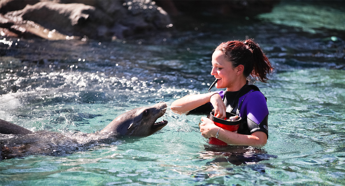 Fresno Sea Lion Cove