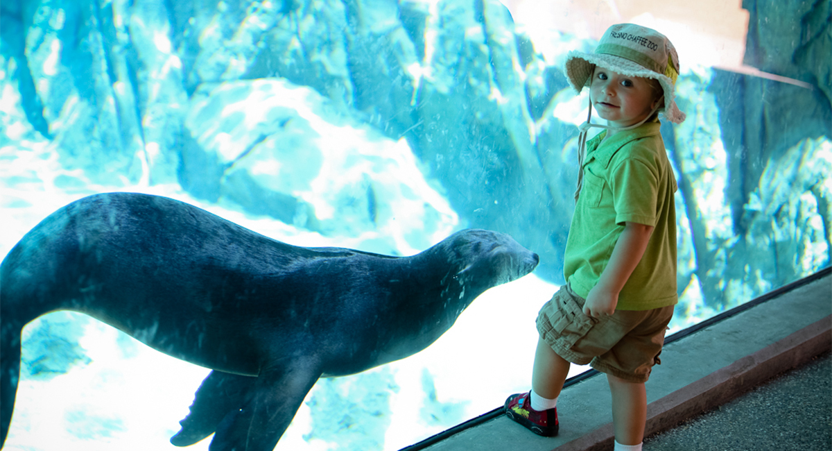 Fresno Sea Lion Cove