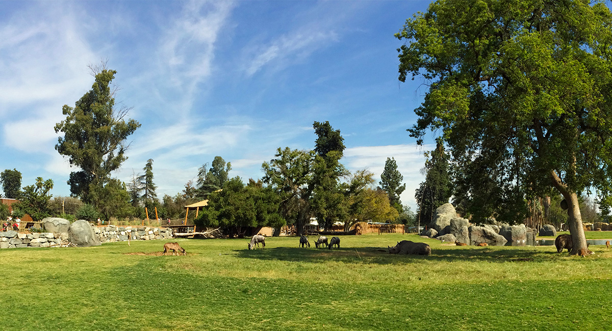 African Adventure at Fresno Chaffee Zoo