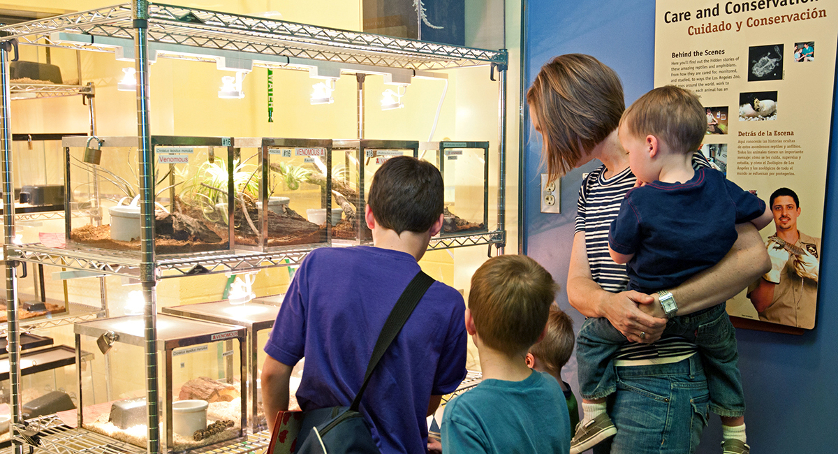 LA Zoo - Living Amphibians, Invertebrates and Reptiles