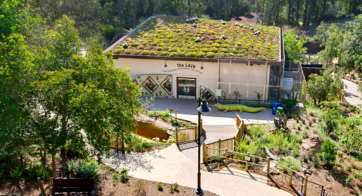 LA Zoo - Living Amphibians, Invertebrates and Reptiles