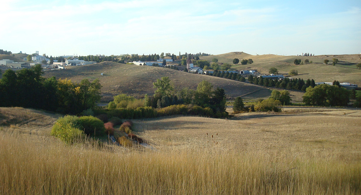 Washington State University Arboretum