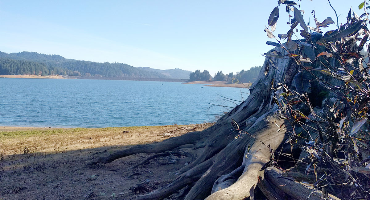 Hagg Lake and Scoggins Valley Park