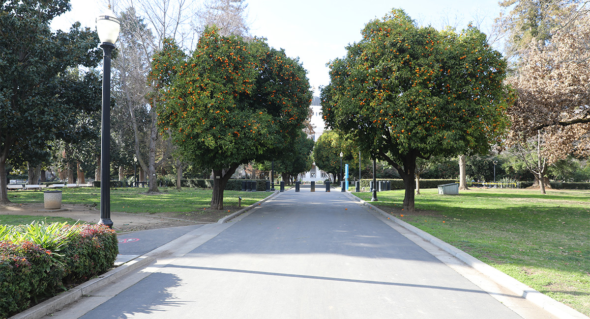 Capitol Park Landscape Treatment Report