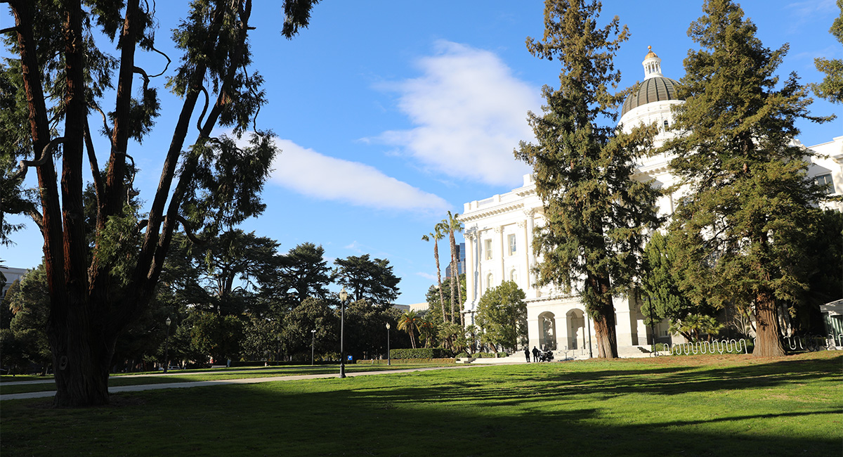 Capitol Park Landscape Treatment Report