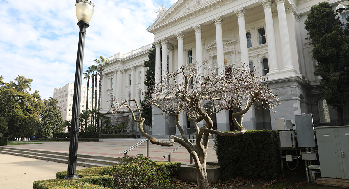 Capitol Park Landscape Treatment Report