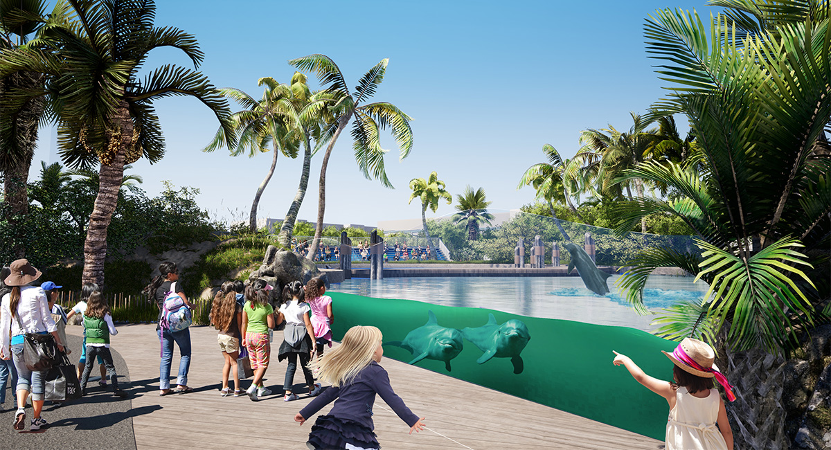 Gulfarium's Dolphin Oasis