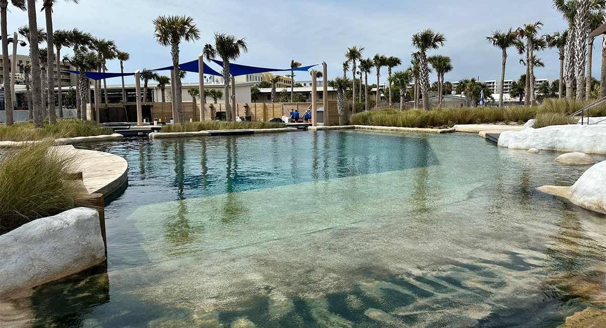 Gulfarium's Dolphin Oasis