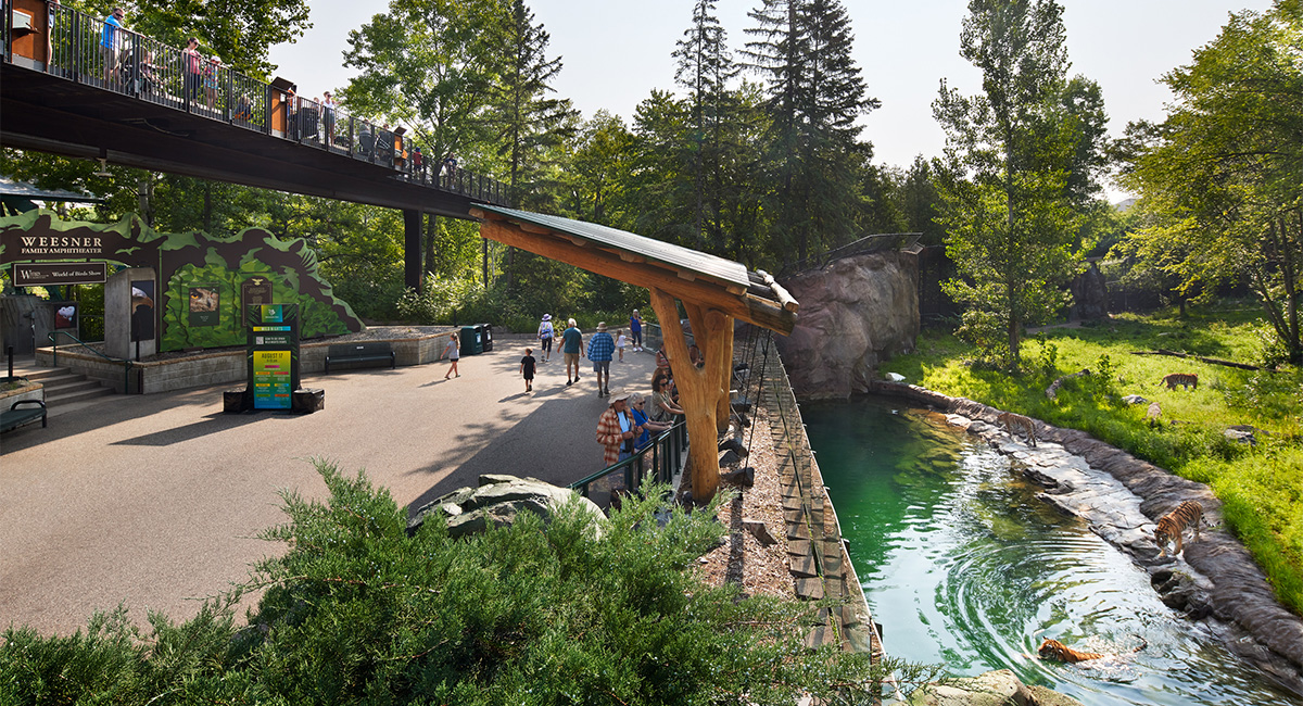 Minnesota Zoo Elevated Trail