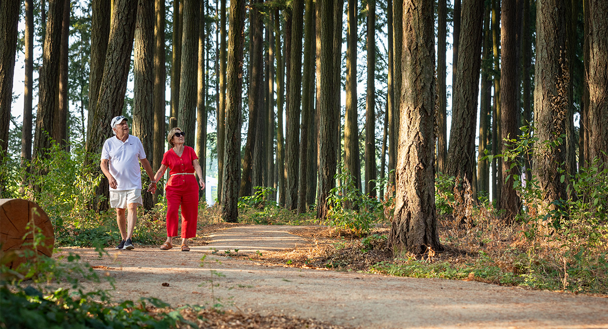 Hidden Creek Park Design