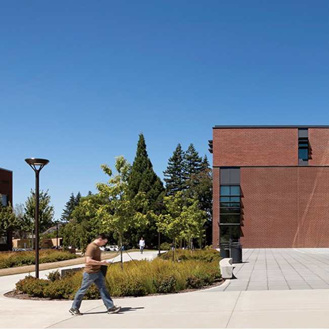 Olympic-College-Landscaping_thumbnail